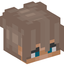 Minecraft head — People