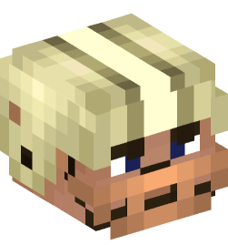 Minecraft head — People