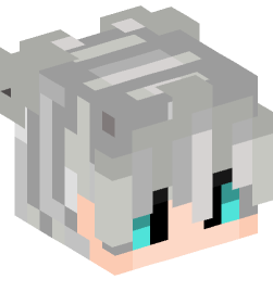 Minecraft head — People