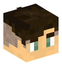 Minecraft head — People