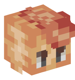 Minecraft head — Creatures