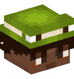 Minecraft head — People