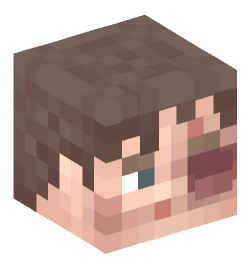 Minecraft head — People