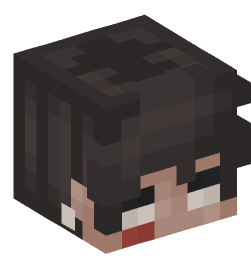 Minecraft head — People