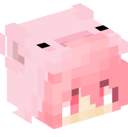 Minecraft head — People