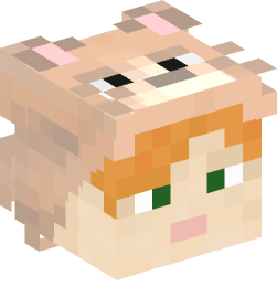 Minecraft head — People