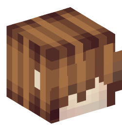 Minecraft head — People