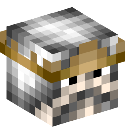 Minecraft head — People