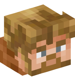 Minecraft head — People