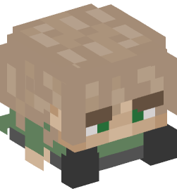 Minecraft head — Decor