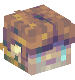 Minecraft head — People