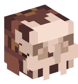 Minecraft head — Decor