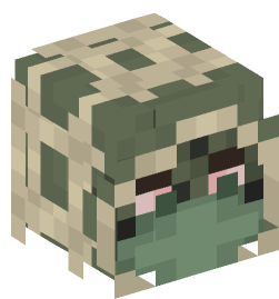 Minecraft head — People