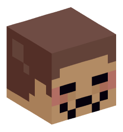 Minecraft head — Miscellaneous