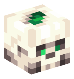 Minecraft head — Decor