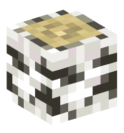 Minecraft head — Blocks