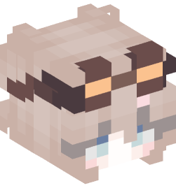 Minecraft head — People