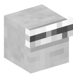 Minecraft head — Decor
