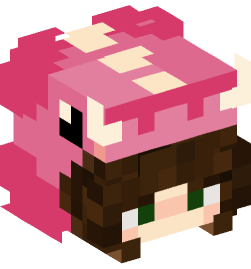 Minecraft head — People