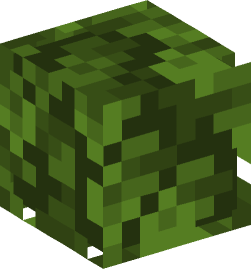 Minecraft head — Plants