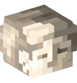 Minecraft head — Decor