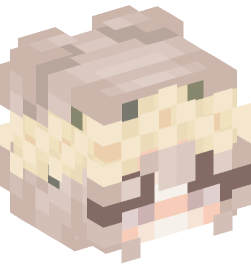 Minecraft head — People