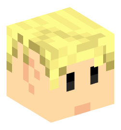 Minecraft head — People