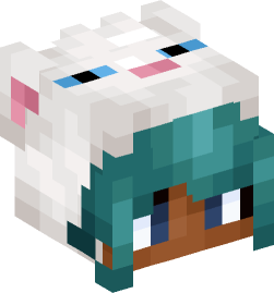 Minecraft head — People