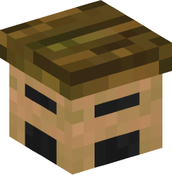 Minecraft head — Decor