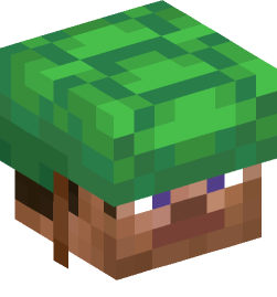 Minecraft head — People