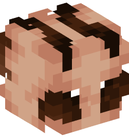 Minecraft head — Animals