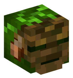 Minecraft head — People