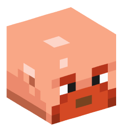 Minecraft head — People