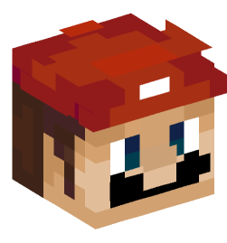 Minecraft head — People