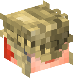 Minecraft head — People