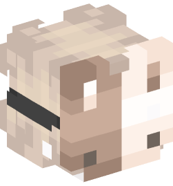 Minecraft head — People