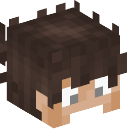 Minecraft head — People