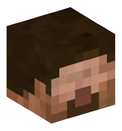 Minecraft head — People