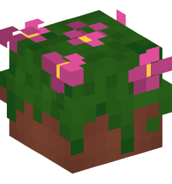 Minecraft head — Decor