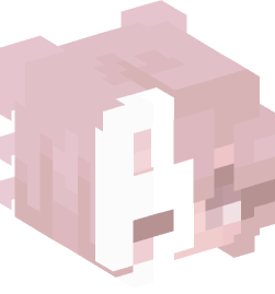 Minecraft head — People