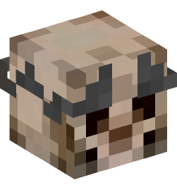 Minecraft head — Decor