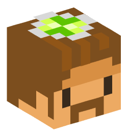 Minecraft head — Creatures