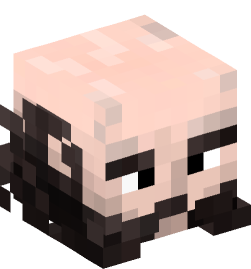 Minecraft head — People