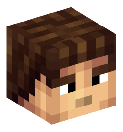 Minecraft head — People