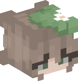 Minecraft head — People