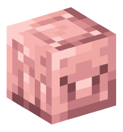 Minecraft head — Blocks