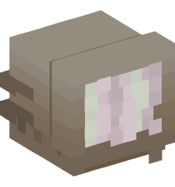 Minecraft head — Decor