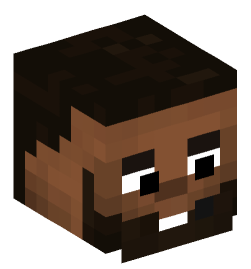 Minecraft head — People