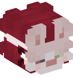 Minecraft head — People