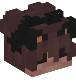 Minecraft head — People